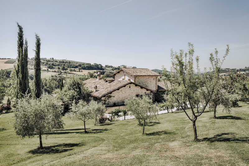 Servizi fotografici corporate Roma azienda vinicola