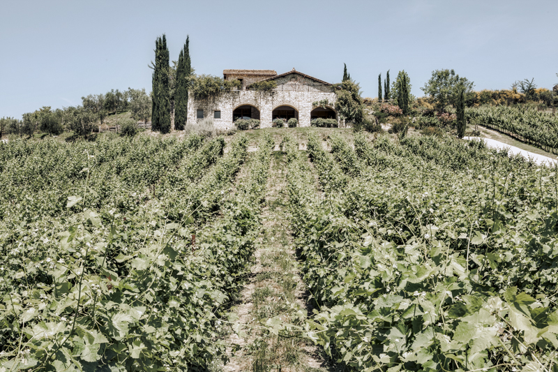 Servizi fotografici corporate Roma azienda vinicola