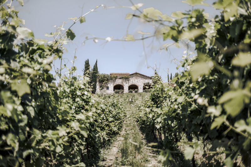 Servizi fotografici corporate Roma azienda vinicola